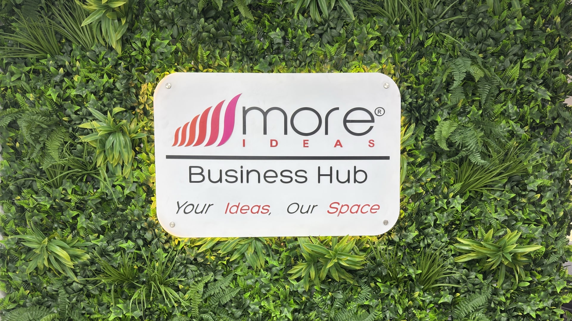 More Ideas Hub
